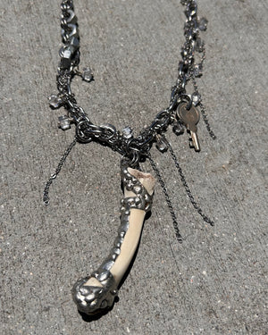 BONES